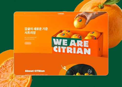 시트리앙