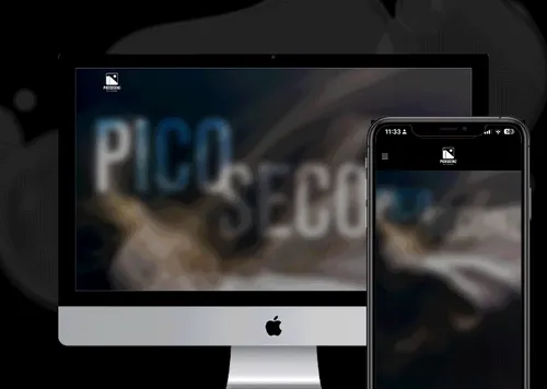 PICOSECONZ ㅣ 예능 교육 학원 웹사이트