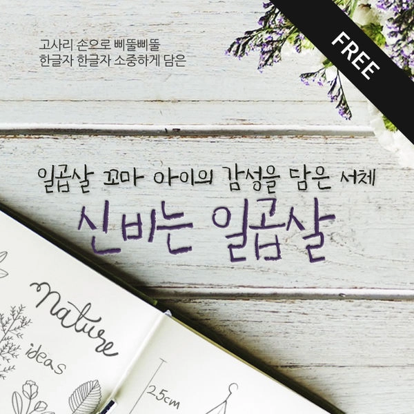 기획전 이미지