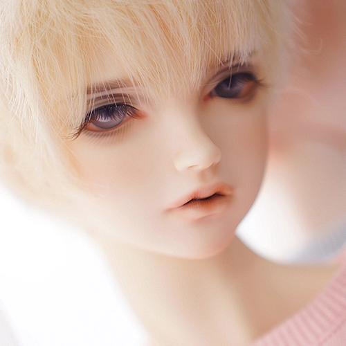 Collection image