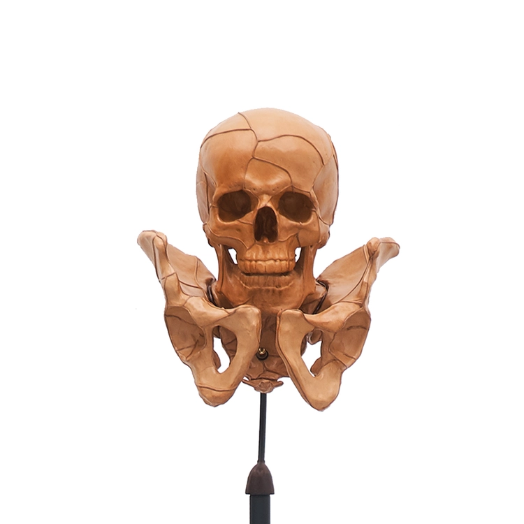 Collection image
