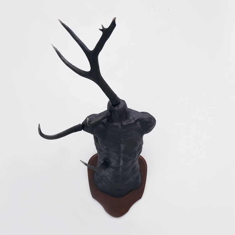 Collection image