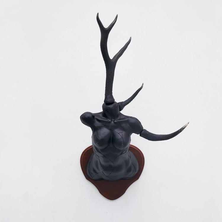 Collection image