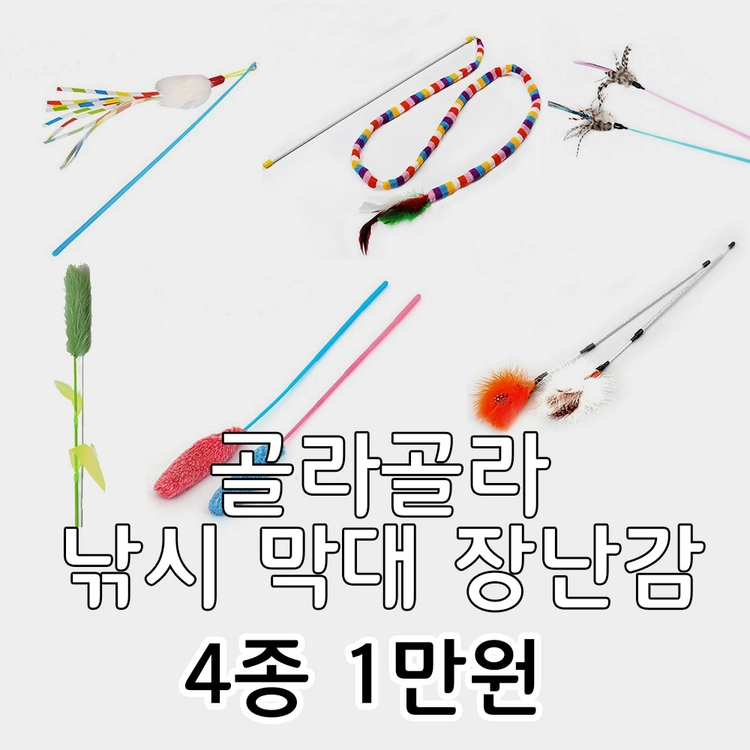 기획전 이미지