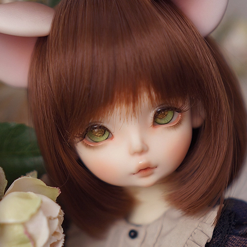 Collection image