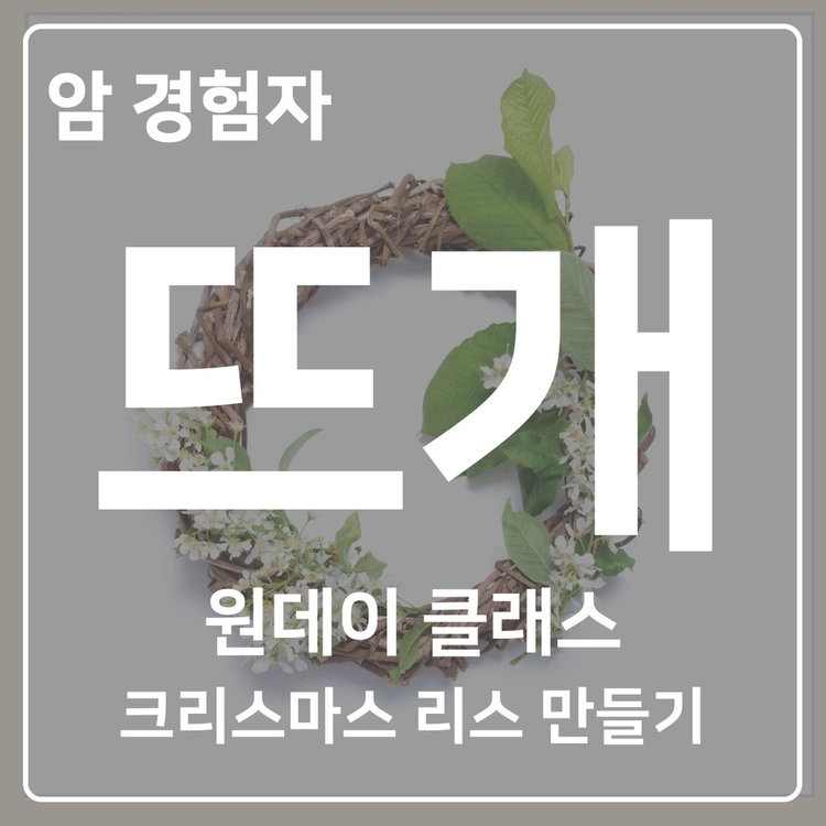 기획전 이미지