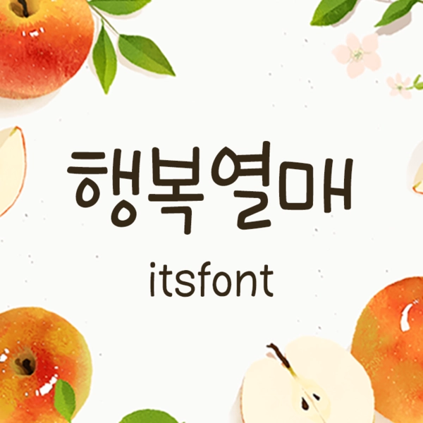 기획전 이미지