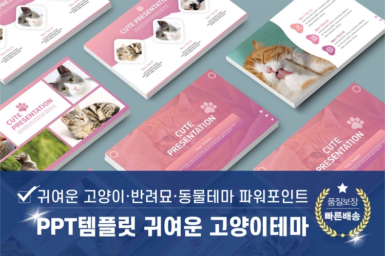 기획전 이미지