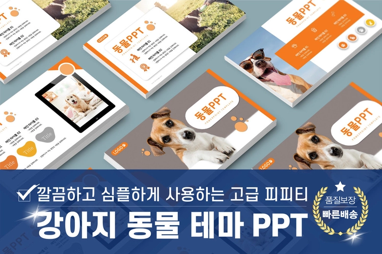 기획전 이미지