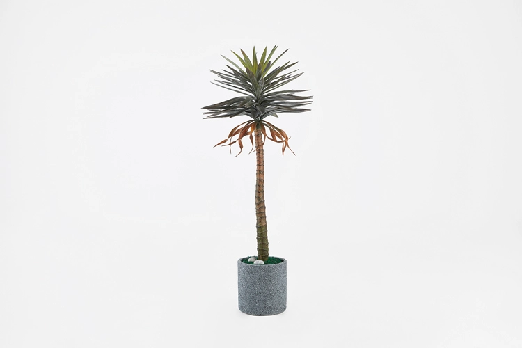 Collection image