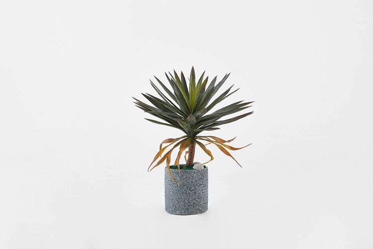 Collection image