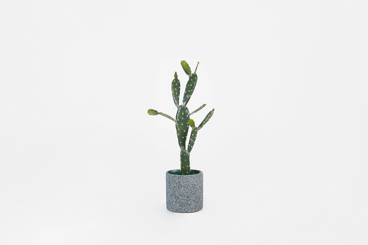 Collection image