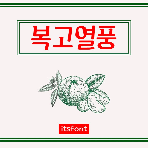 기획전 이미지