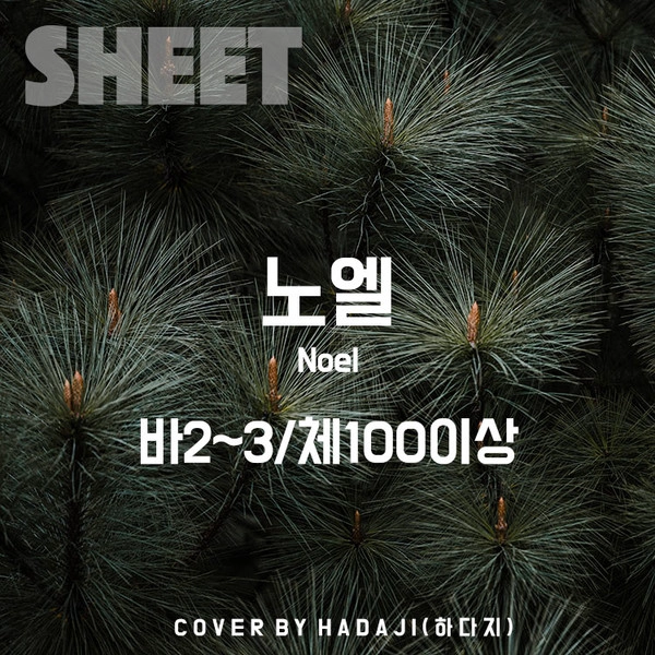 기획전 이미지