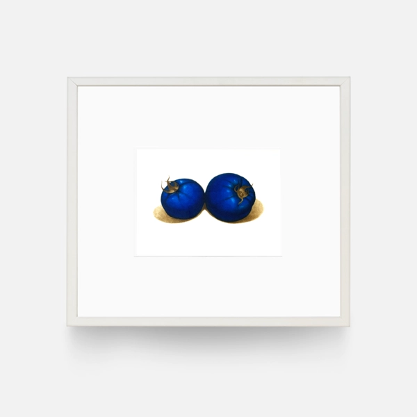 Collection image