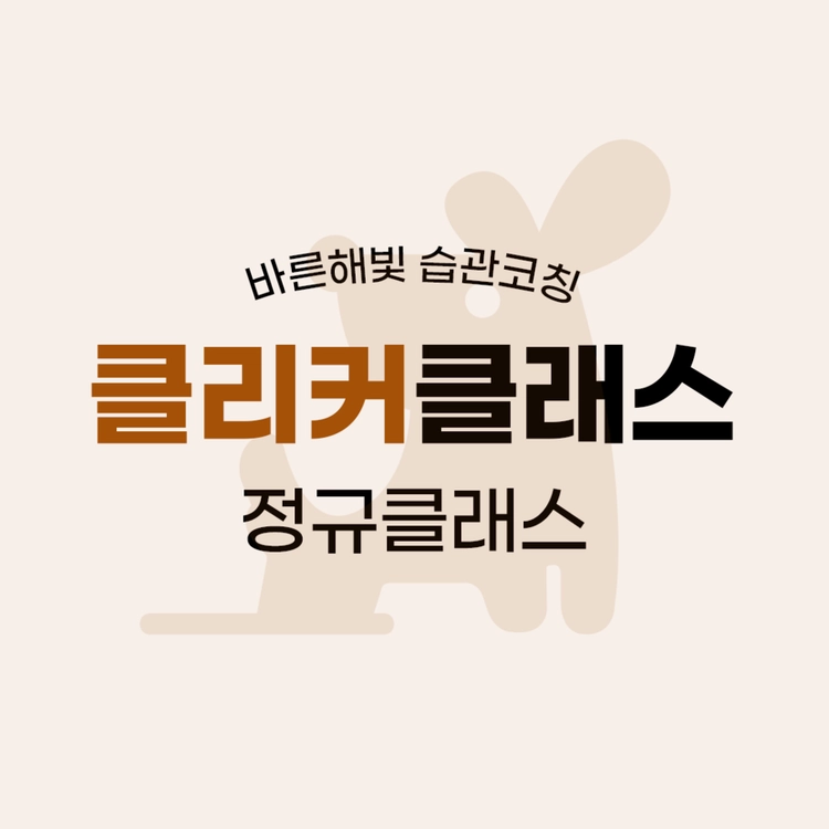 기획전 이미지