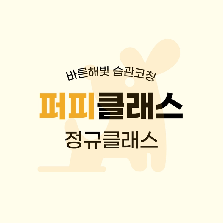 기획전 이미지
