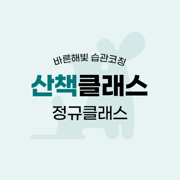 기획전 이미지