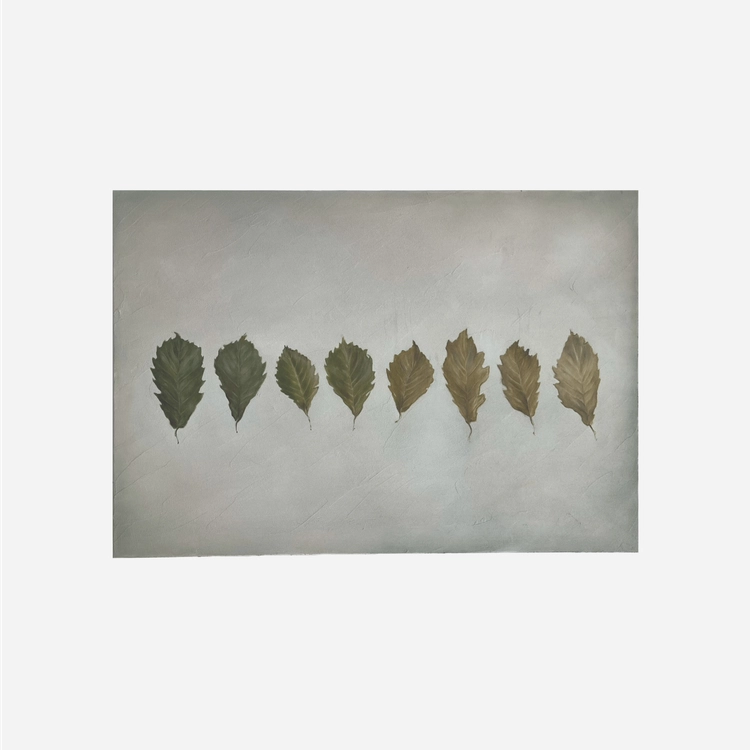 Collection image
