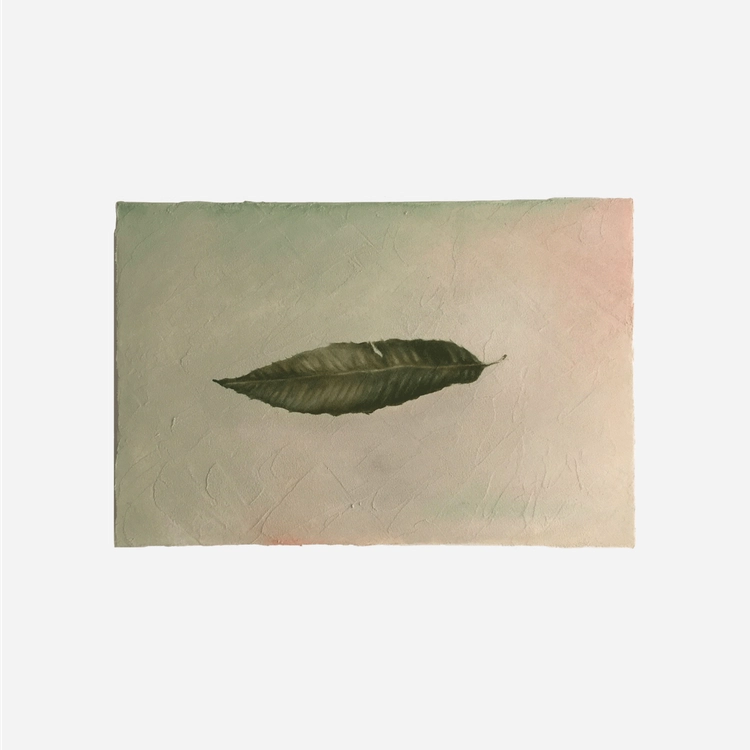 Collection image