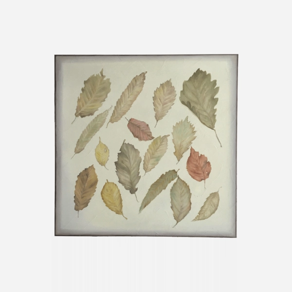 Collection image