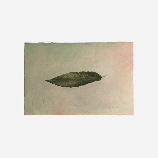 Collection image