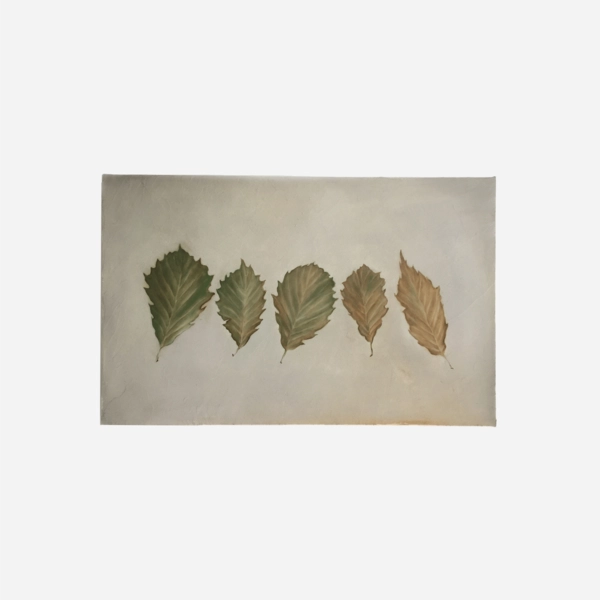 Collection image