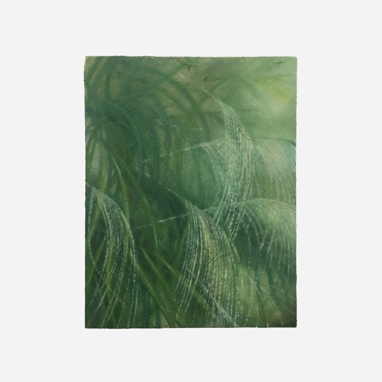 Collection image