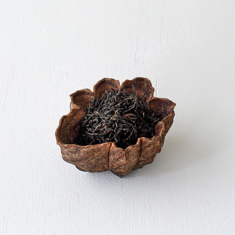 Collection image
