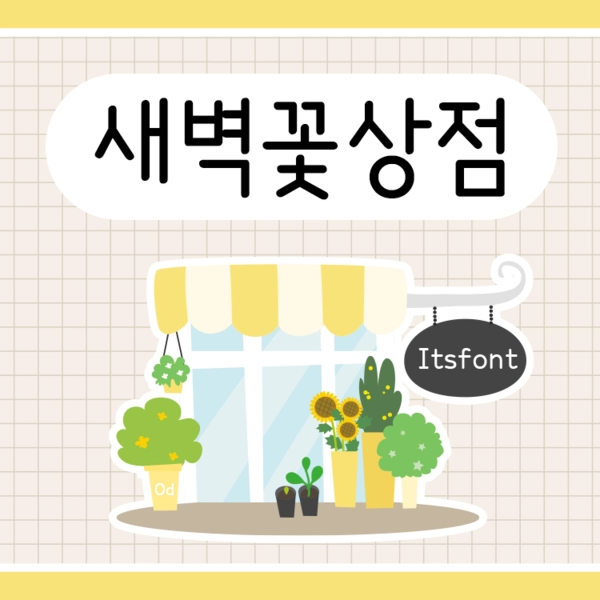 기획전 이미지