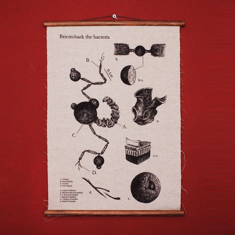 Collection image