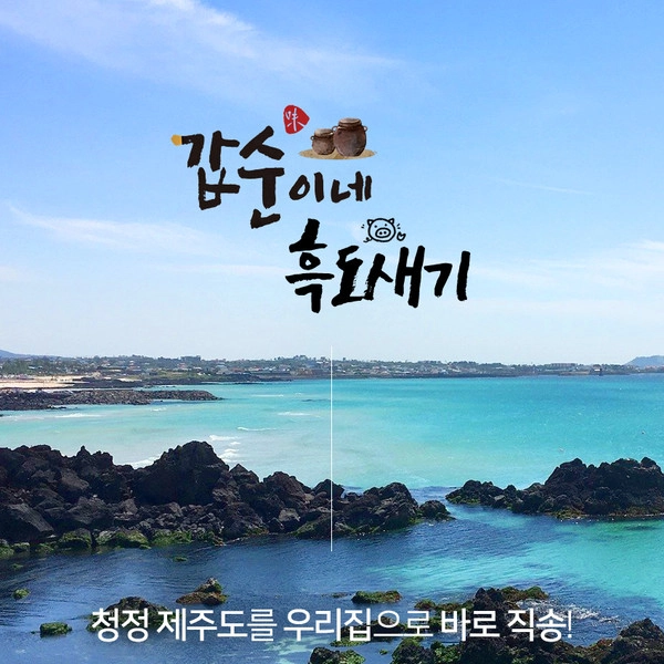기획전 이미지
