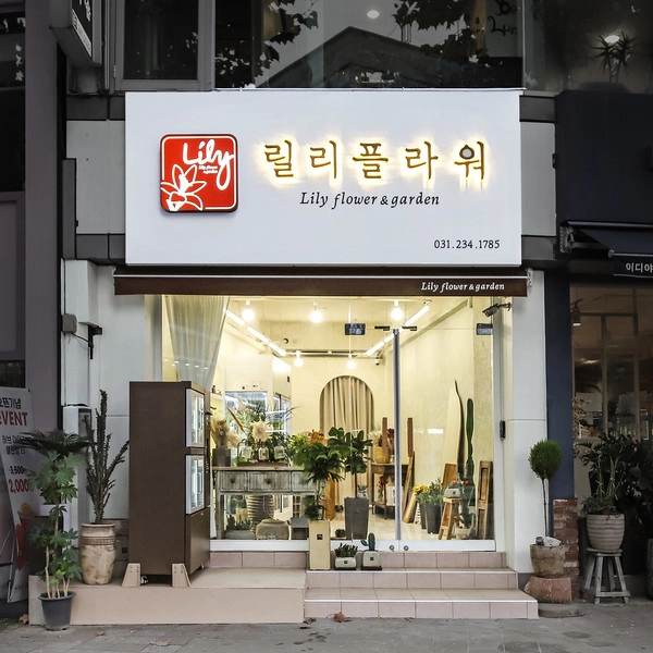 기획전 이미지