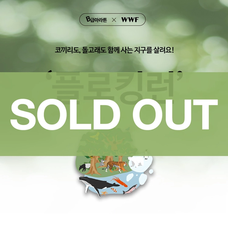 기획전 이미지