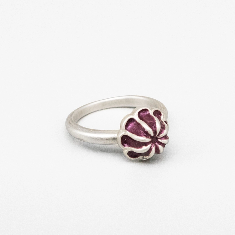 Collection image