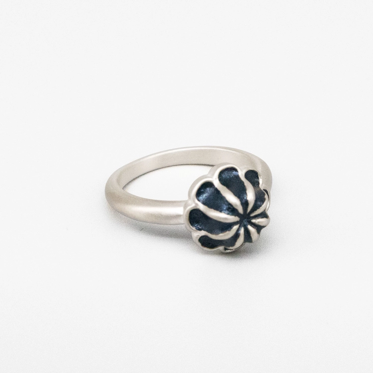 Collection image