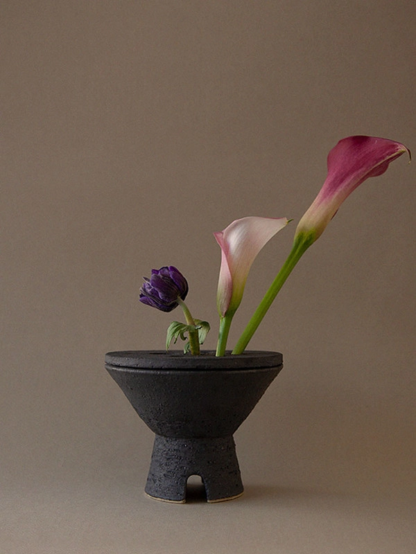 Collection image
