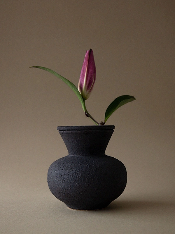 Collection image