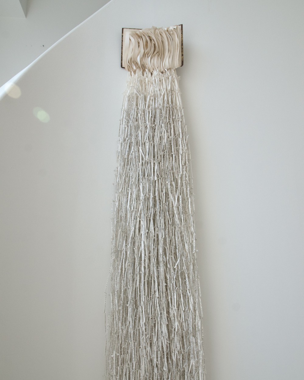 Collection image