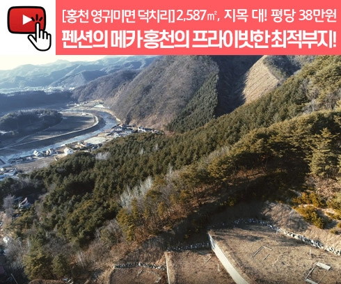 기획전 이미지