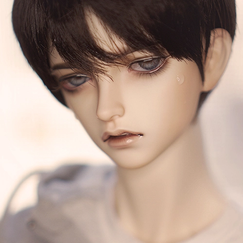 Collection image