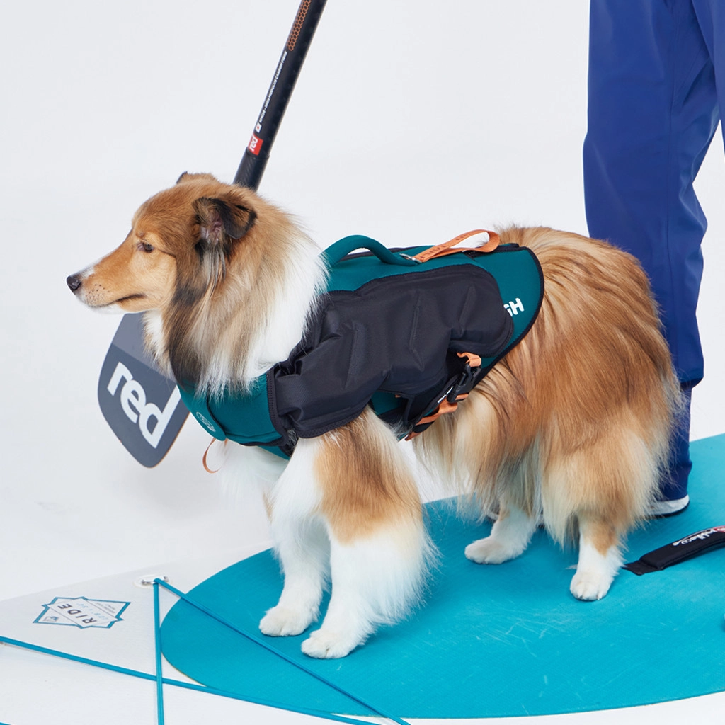 犬服・アクセサリー Inflatable Dog Wetsuit S Inflatable Dog Wetsuit MangroveGreen : TAILHIGH