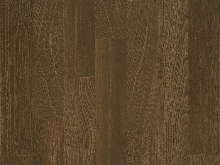 Collection image