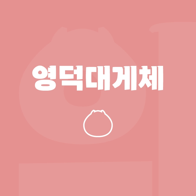 기획전 이미지
