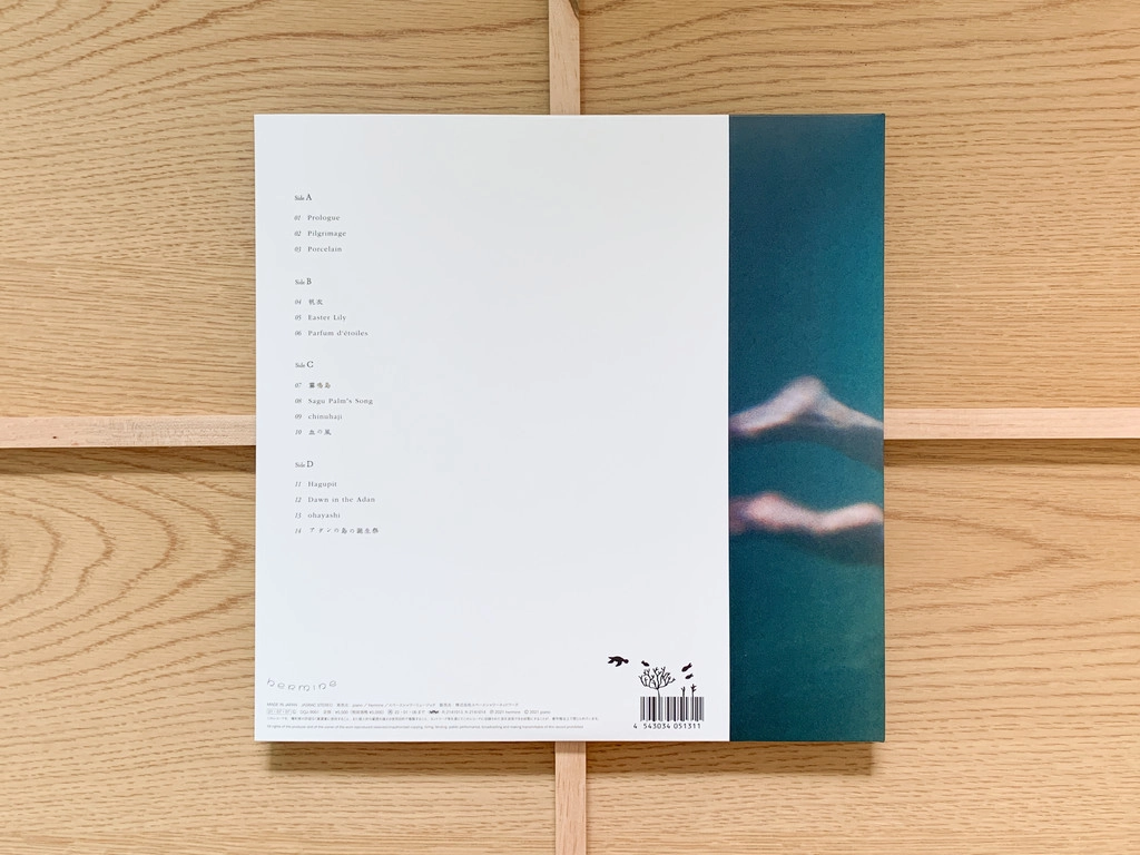 Ichiko Aoba / Windswept Adan [LP] : 수관기피