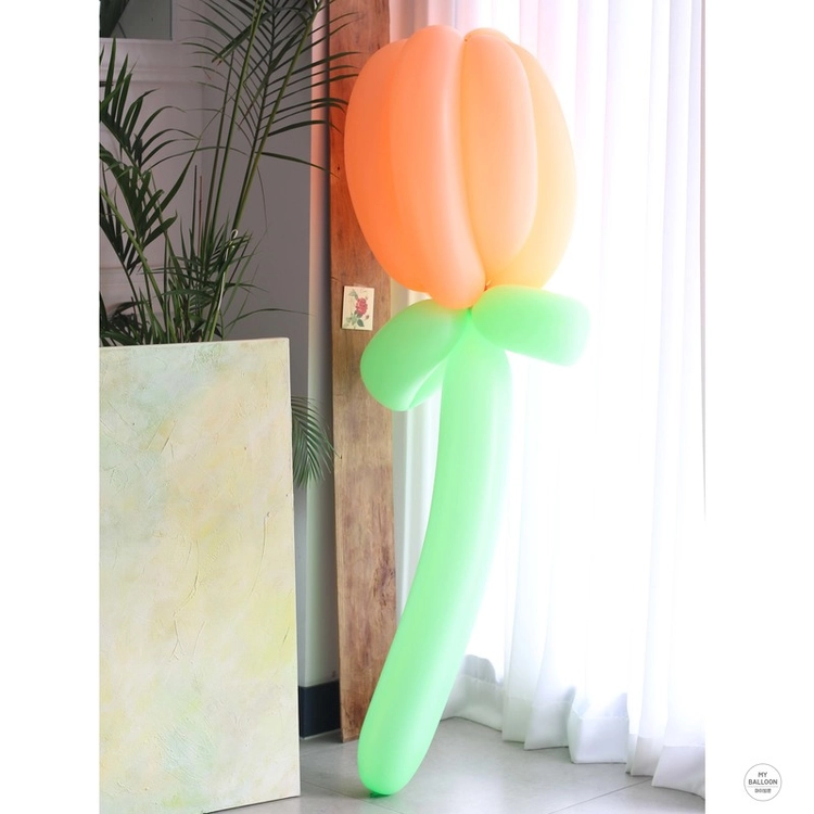 Collection image