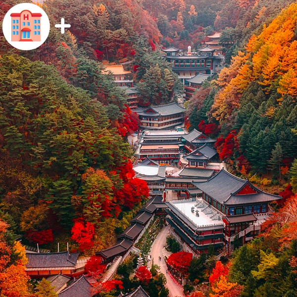 無法顯示圖片