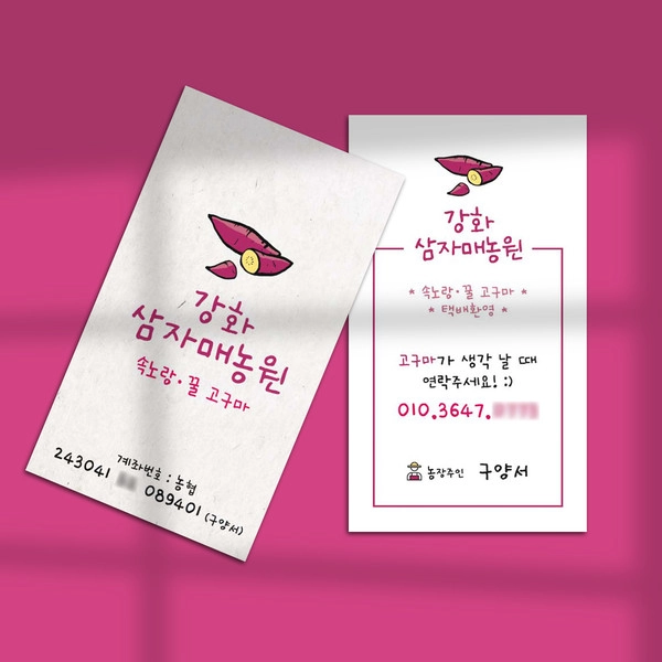 기획전 이미지