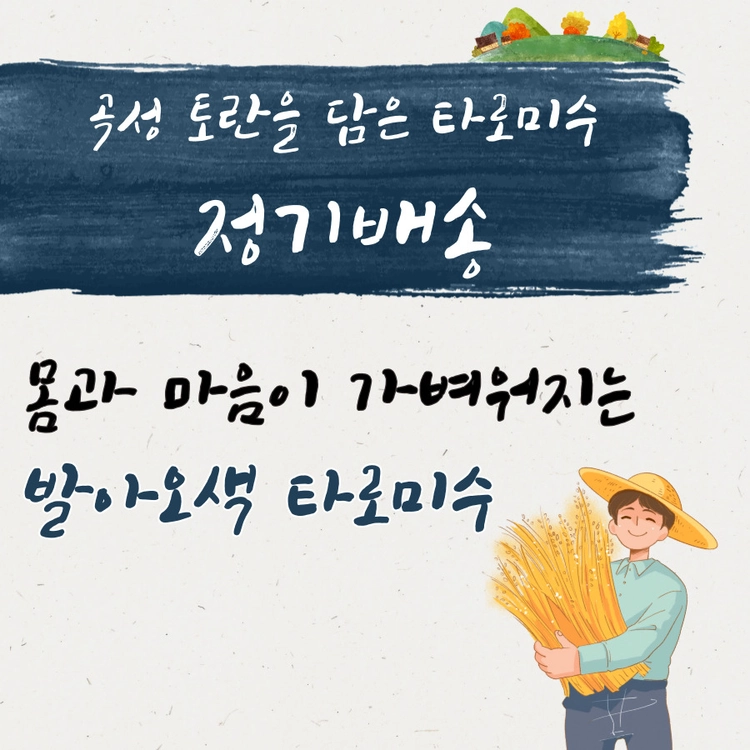 기획전 이미지