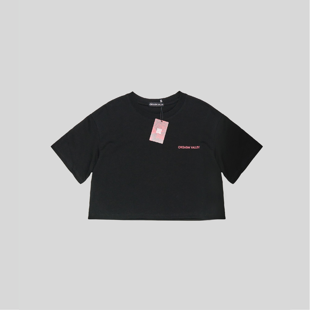Collection image